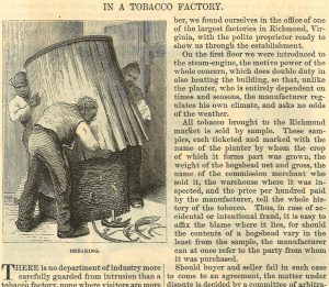 Harpers Weekly 1854 In a Tobacco Factory  Excerpt