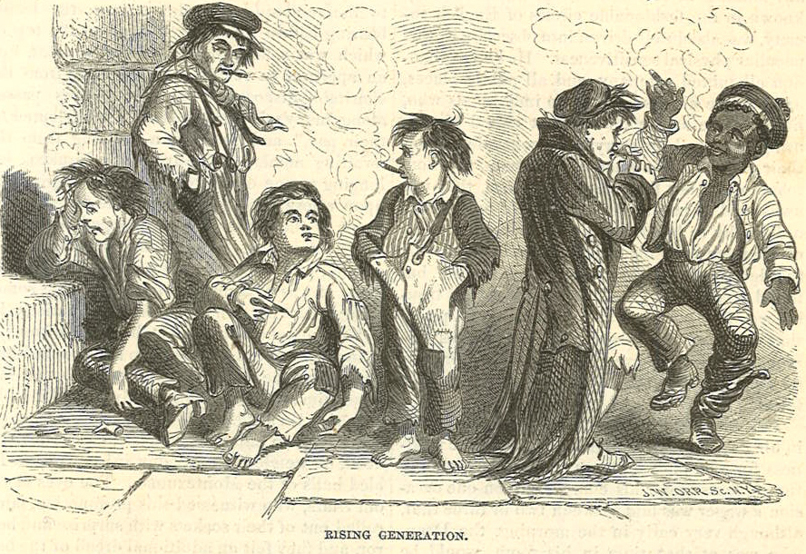 Harpers Weekly 1855 Rising Generation cartoon  Excerpt