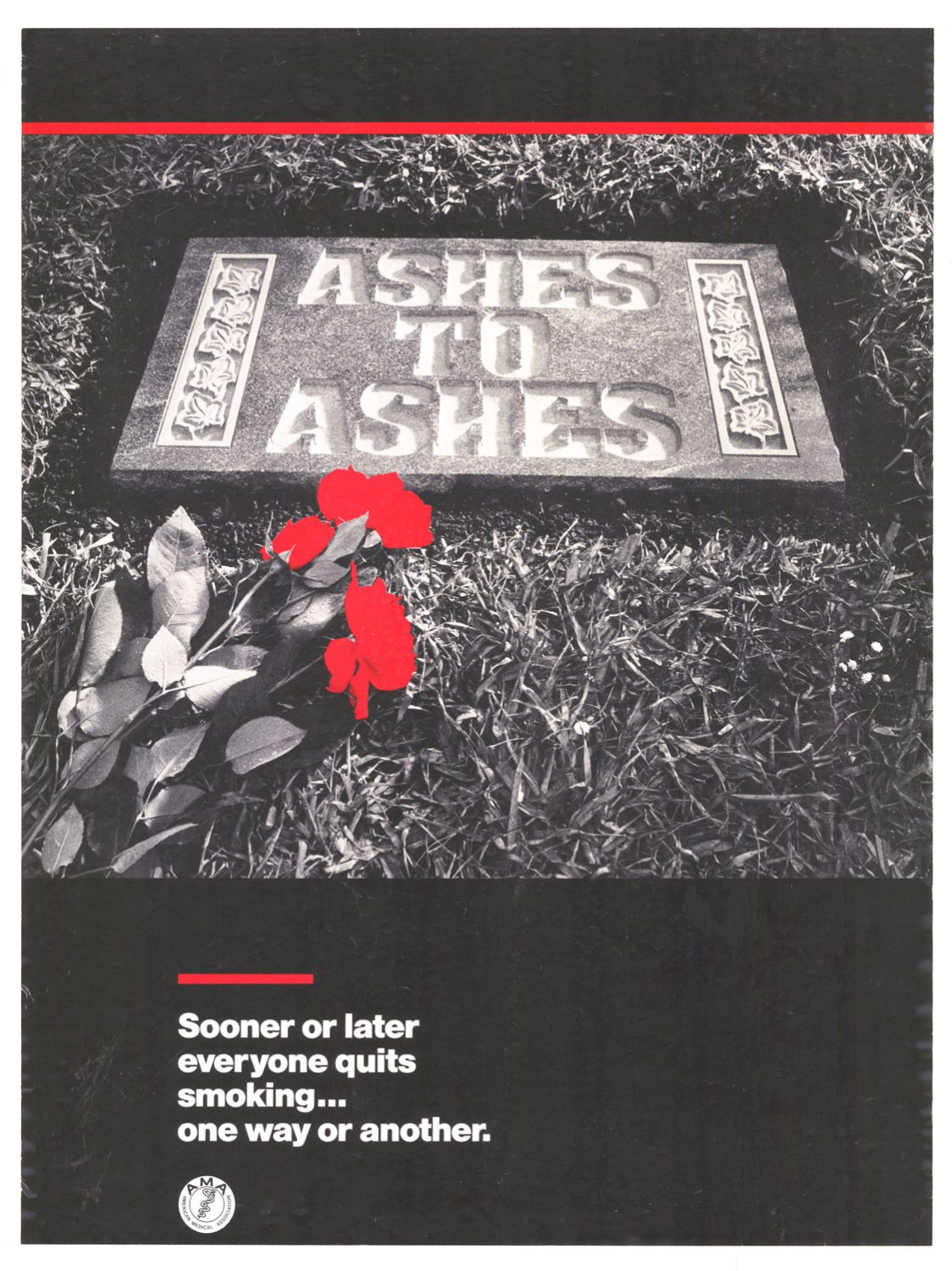 Ashes to Ashes American Medical Association 