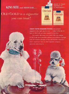 1951 Old Gold Ad Smoking Dogs