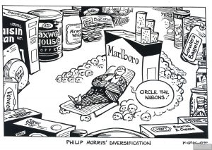 Anderson Cartoon PM Diversification 1