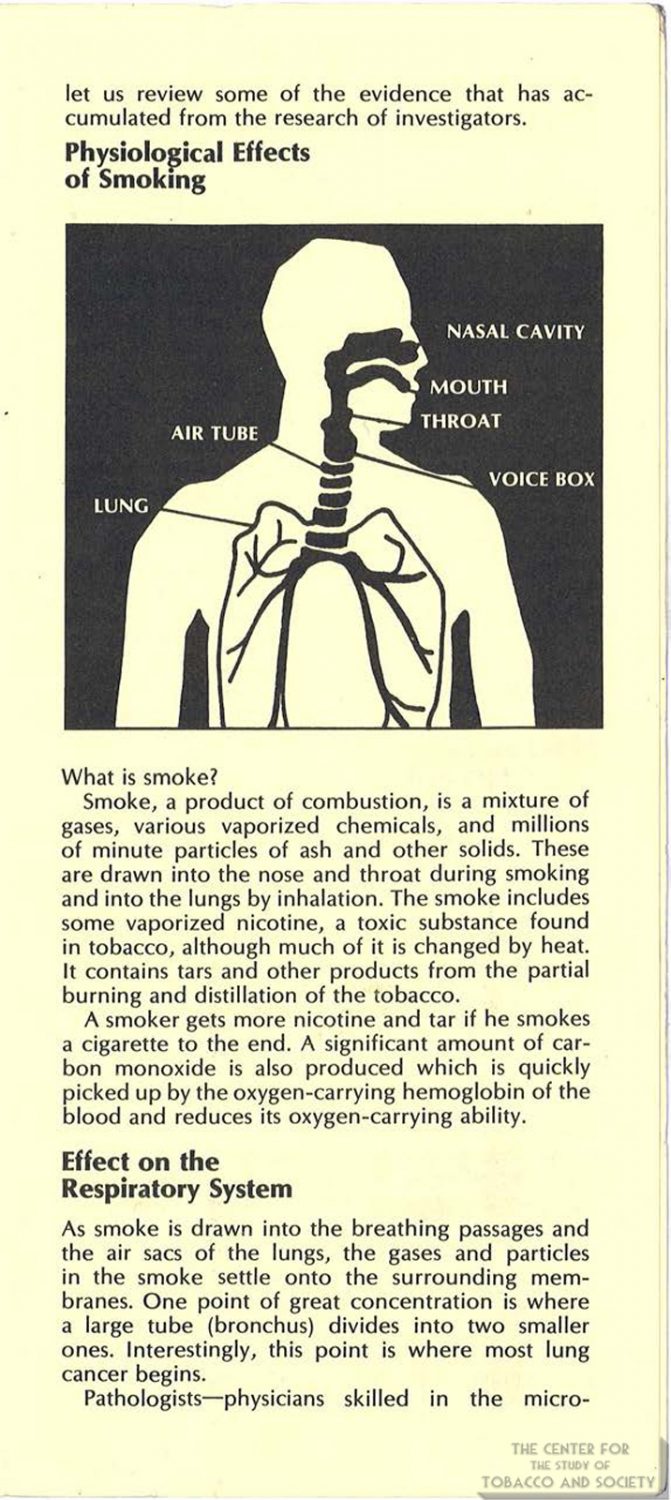 Smoking 101 What You Must Know About How Many Packs Come In - rtb2zw5