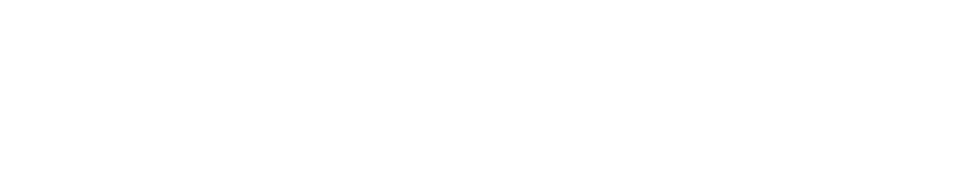 WWI Logo White