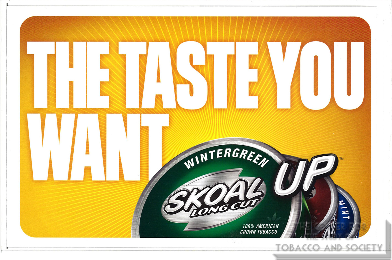 Skoal Mailer The Taste You Want