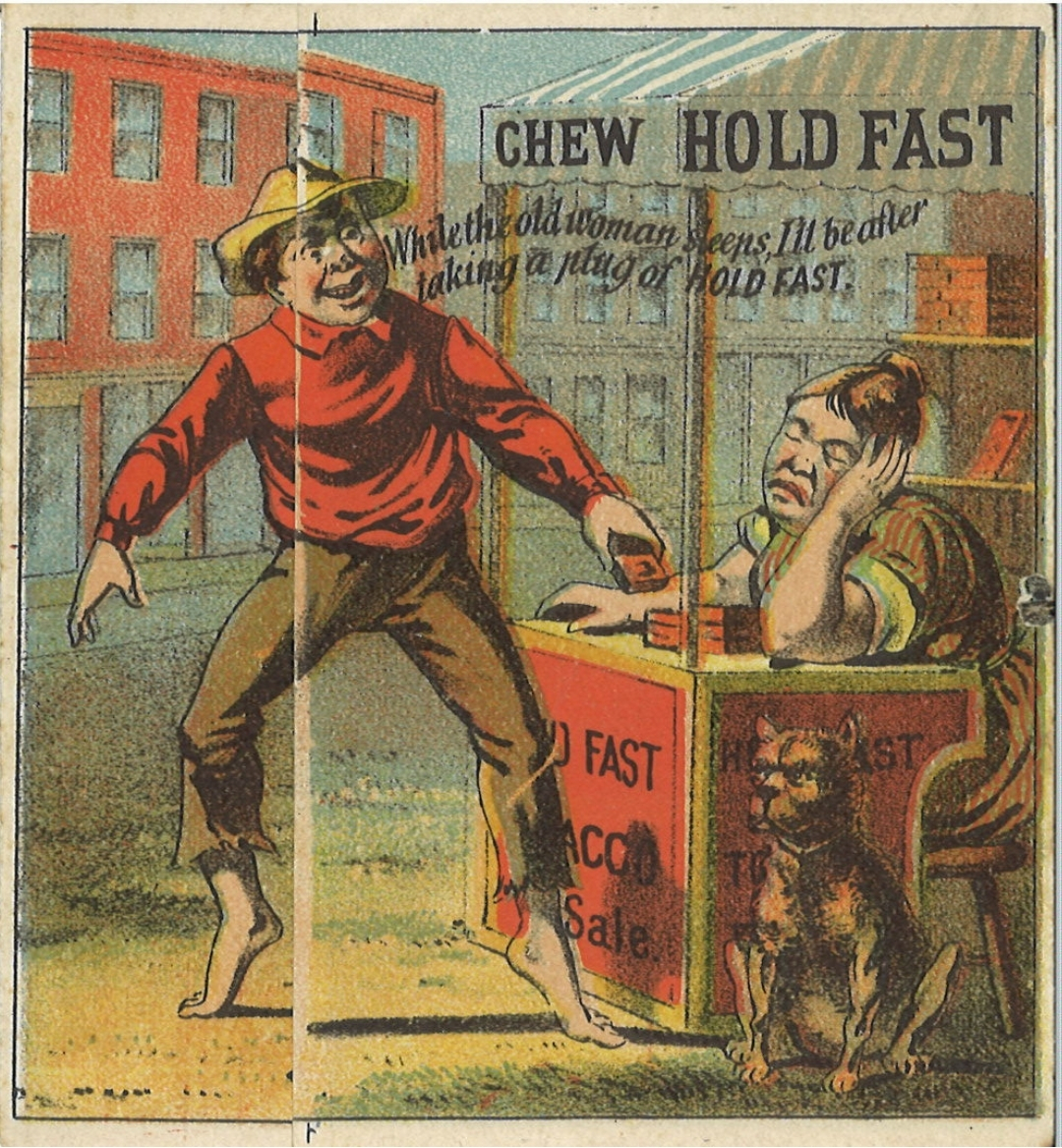CSTS Dog Hold Fast 2 Crop CSTS Dog Hold Fast 2 Crop