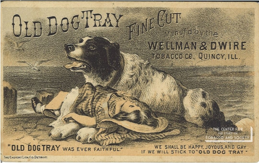 CSTS Dog Postcard 2 Front CSTS Dog Postcard 2 Front