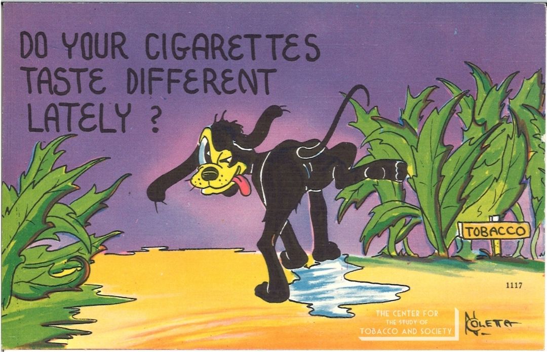 CSTS Dog Postcard Taste Different 3 Front