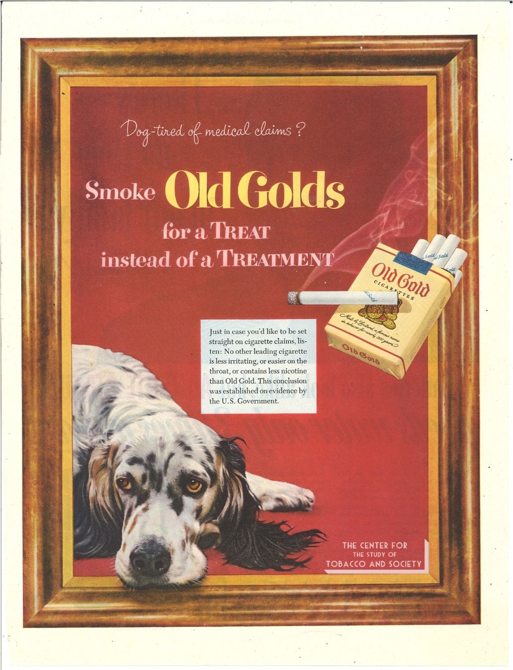 CSTS Old Gold Dogs 1 CSTS Old Gold Dogs 1