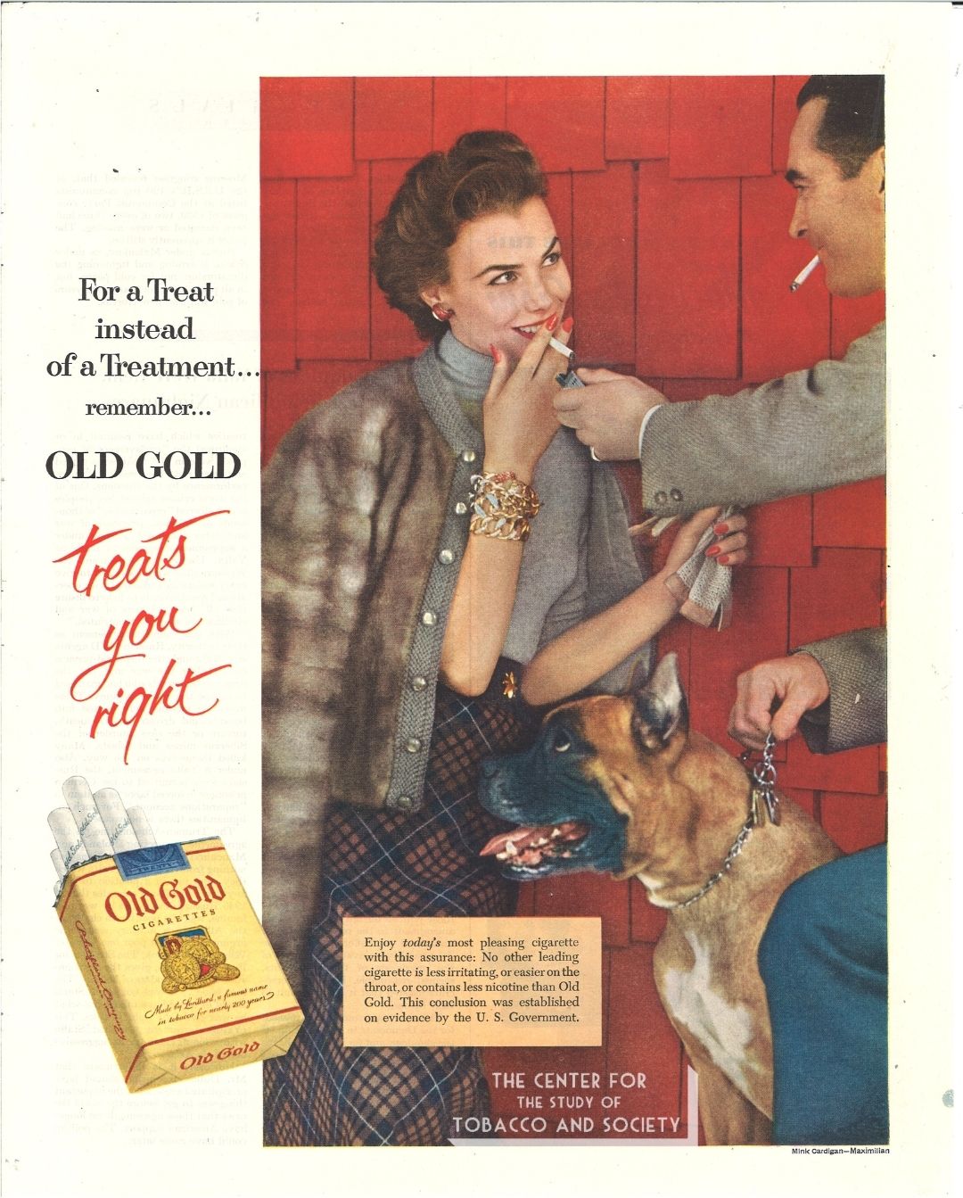 CSTS Old Gold Dogs 10 CSTS Old Gold Dogs 10