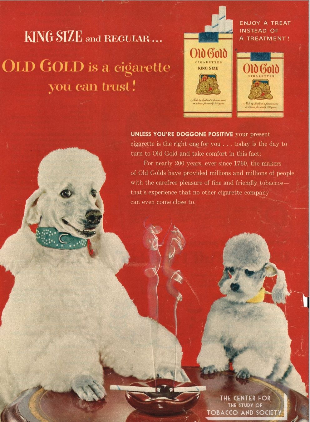 CSTS Old Gold Dogs 12