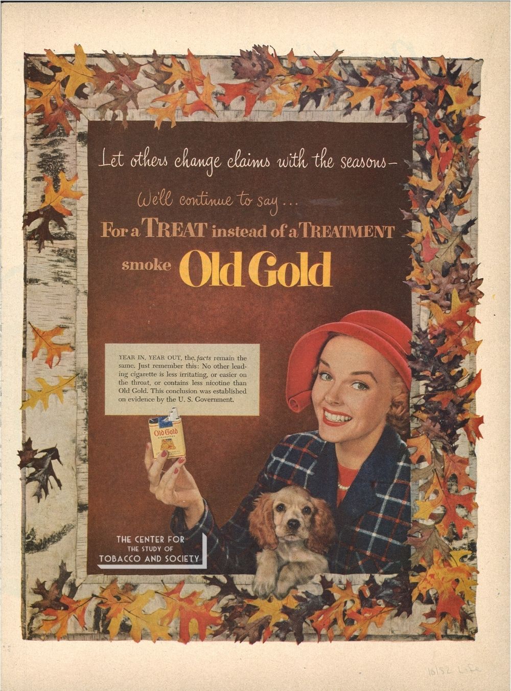 CSTS Old Gold Dogs 15
