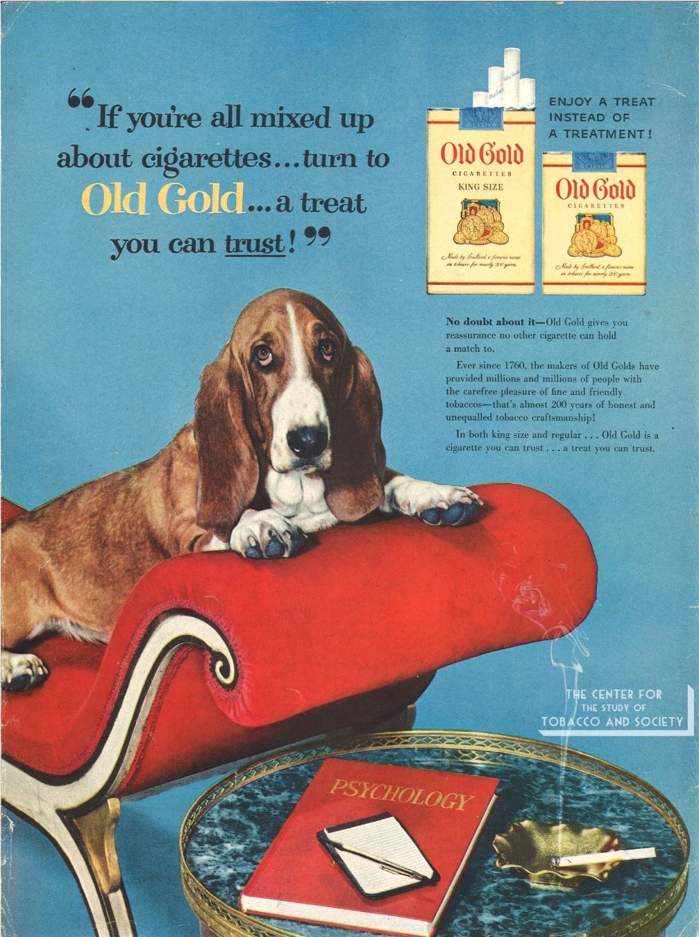 CSTS Old Gold Dogs 17 CSTS Old Gold Dogs 17