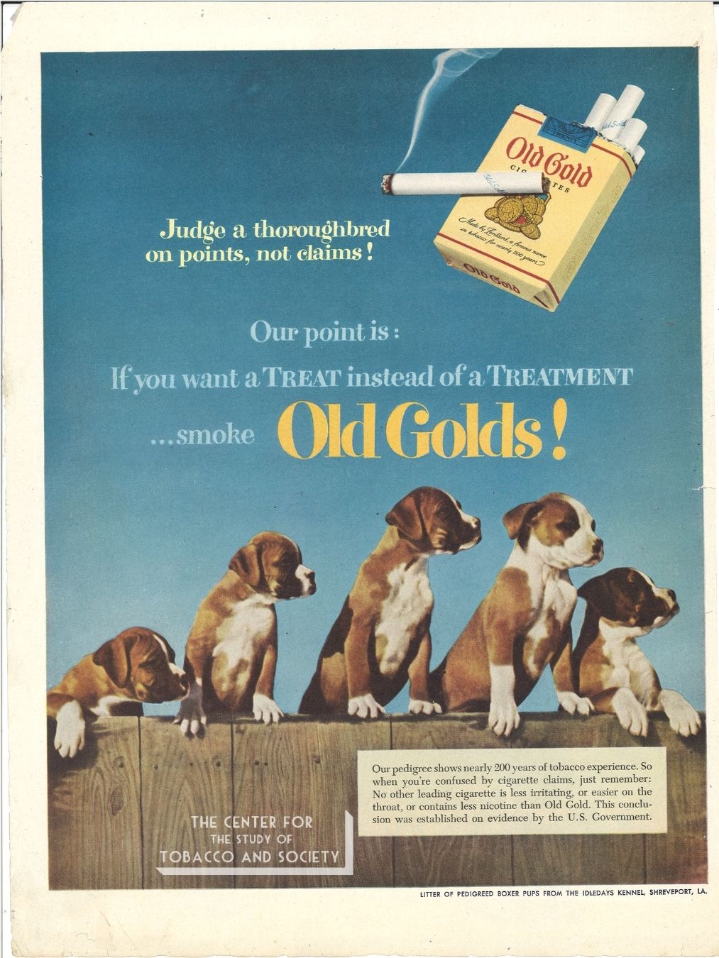 CSTS Old Gold Dogs 18