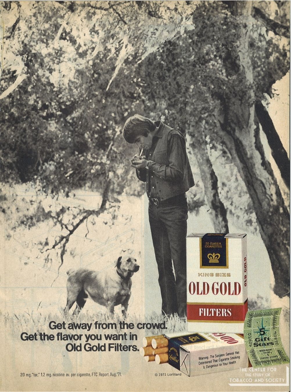 CSTS Old Gold Dogs 19 CSTS Old Gold Dogs 19