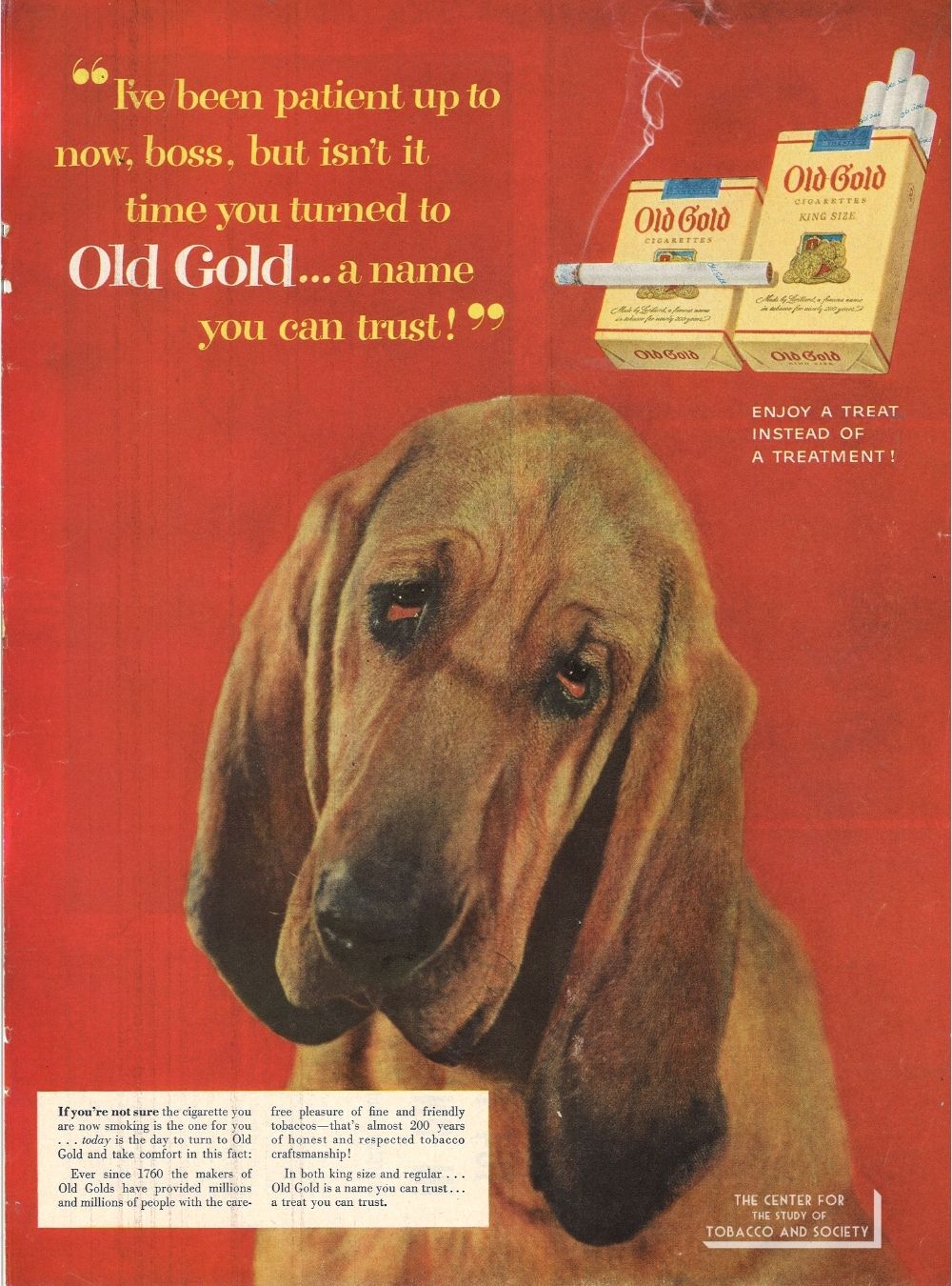 CSTS Old Gold Dogs 3 CSTS Old Gold Dogs 3