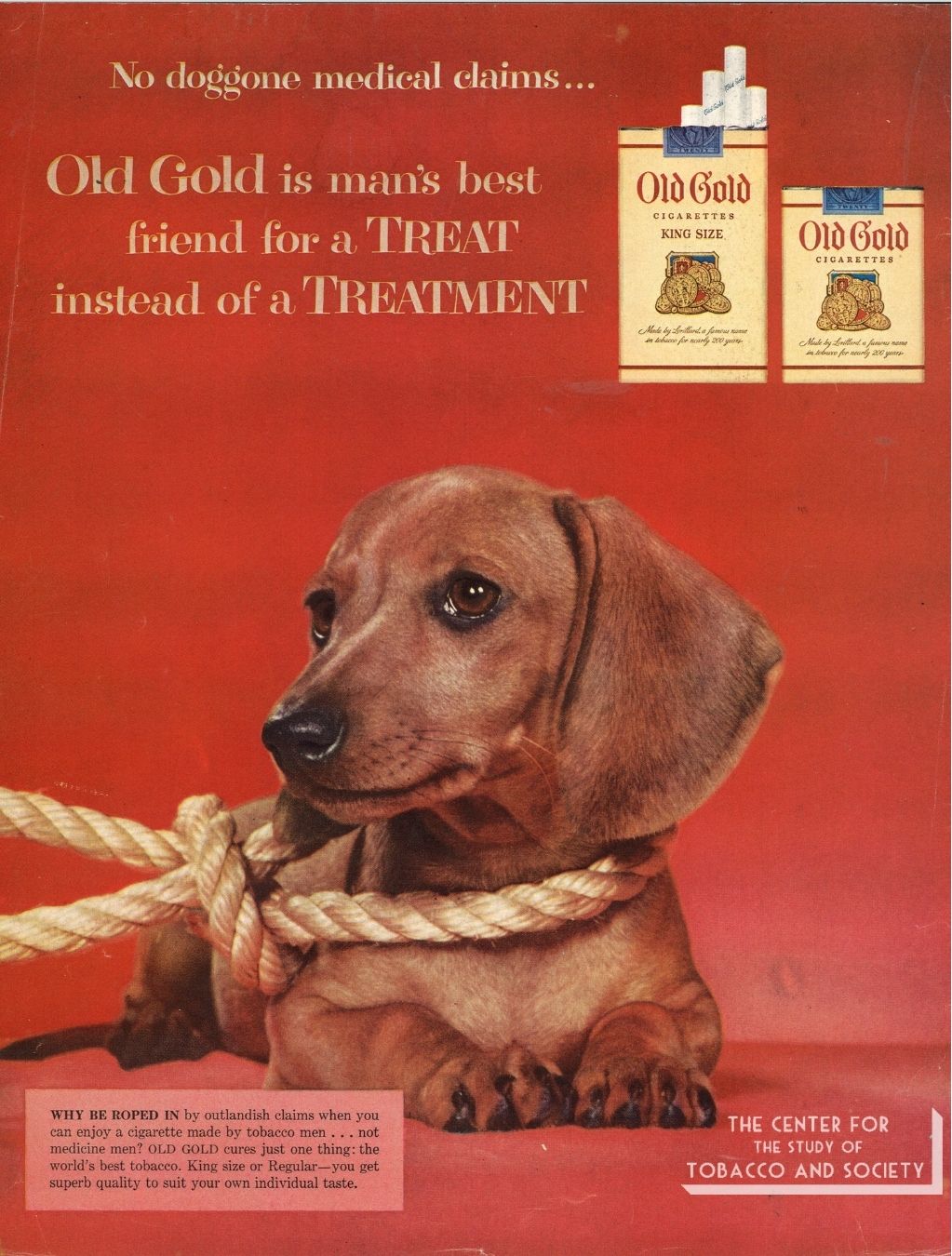 CSTS Old Gold Dogs 4