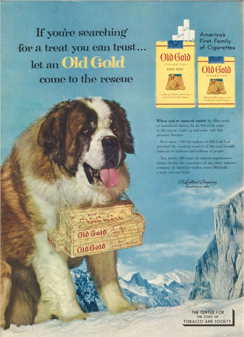 CSTS Old Gold Dogs 8