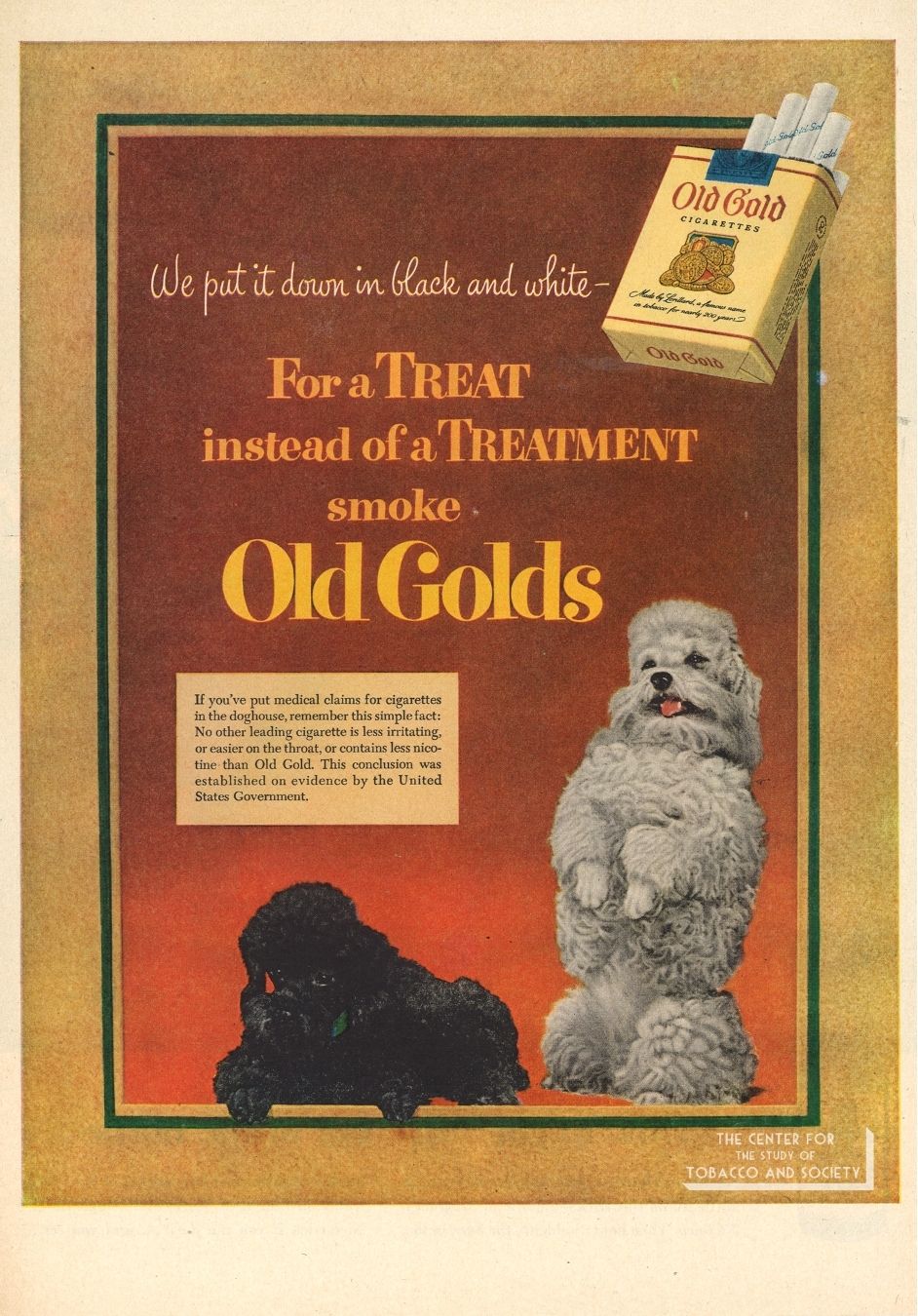 CSTS Old Gold Dogs 9 CSTS Old Gold Dogs 9